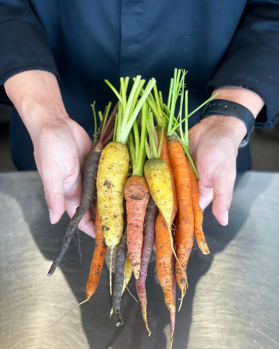 Last Spring Jeju Photos 2